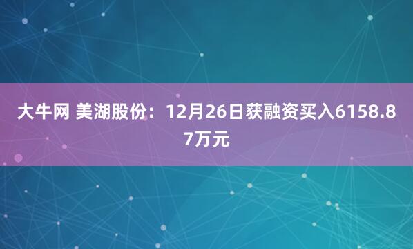 大牛网 美湖股份:12月26日获融资买入6158.87万元