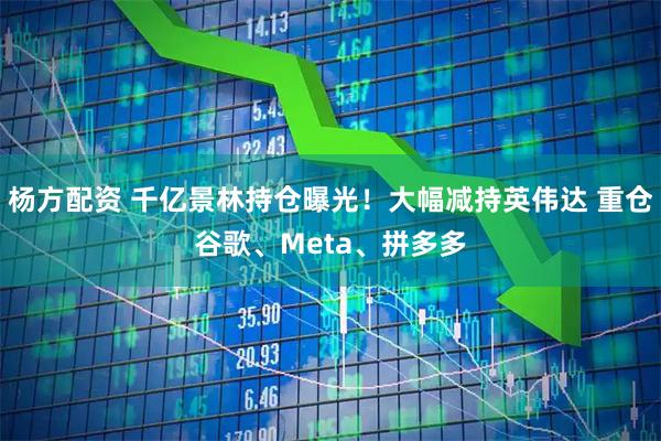 杨方配资 千亿景林持仓曝光！大幅减持英伟达 重仓谷歌、Meta、拼多多