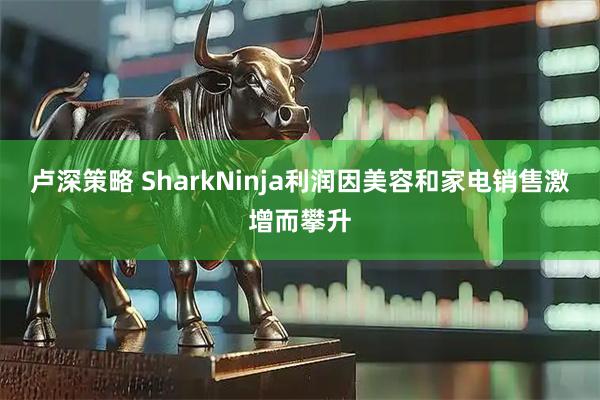 卢深策略 SharkNinja利润因美容和家电销售激增而攀升