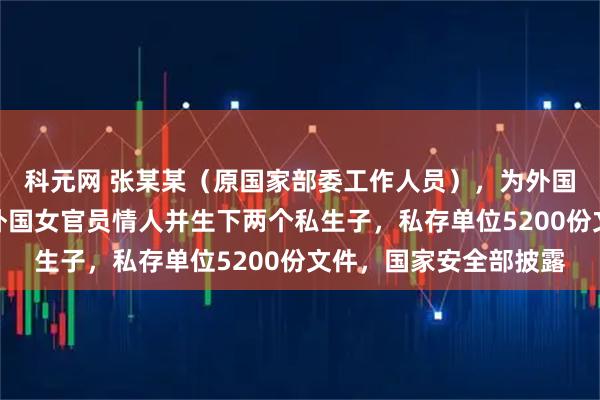 科元网 张某某（原国家部委工作人员），为外国政府充当间谍，成为外国女官员情人并生下两个私生子，私存单位5200份文件，国家安全部披露